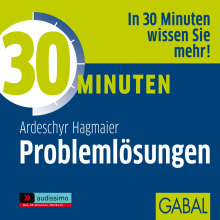 30 Minuten Problemlösungen (Buchcover)